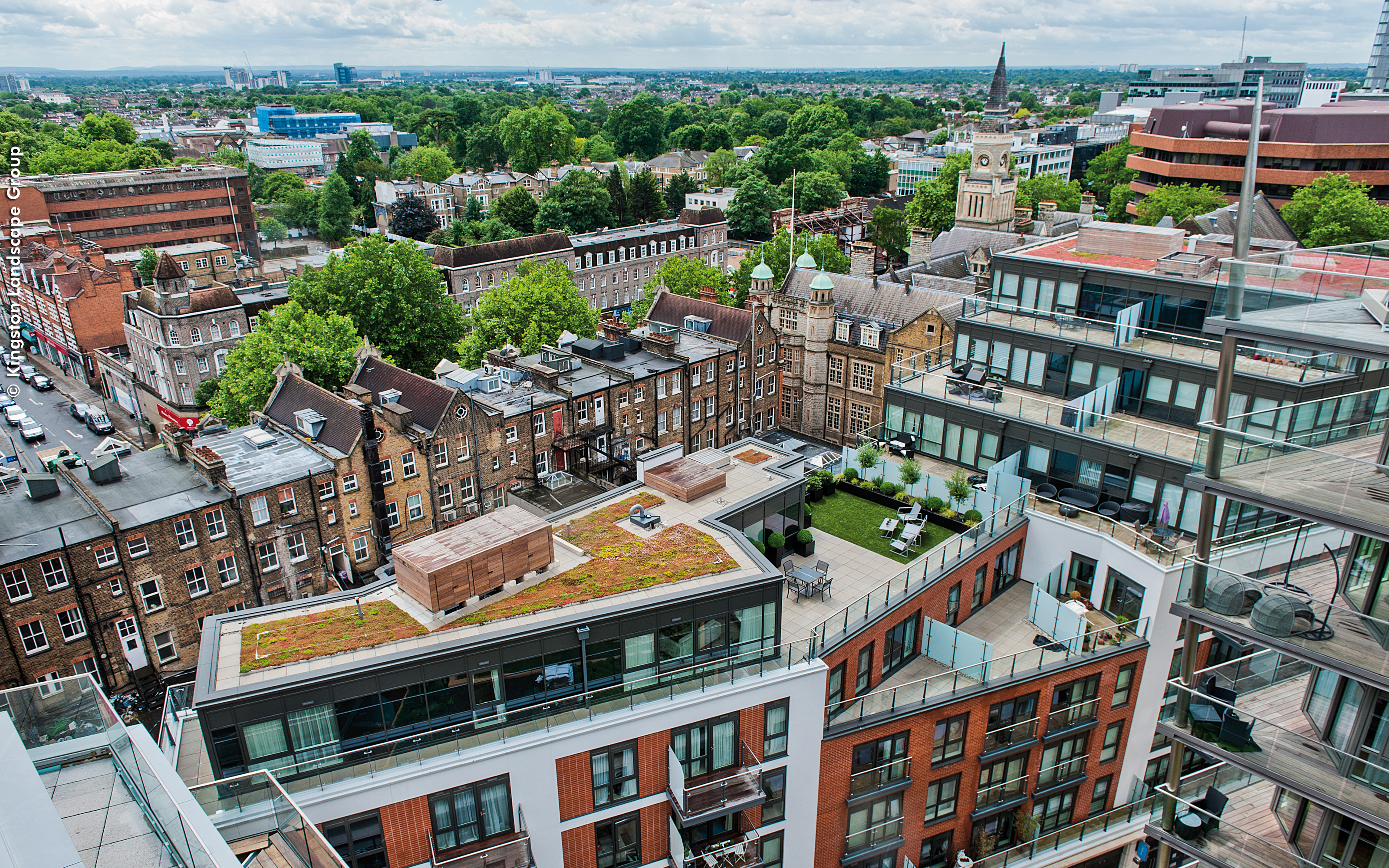 Bird's eye view onto a sedum roof in the city